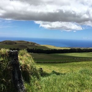 Meet your Posher, Sophie